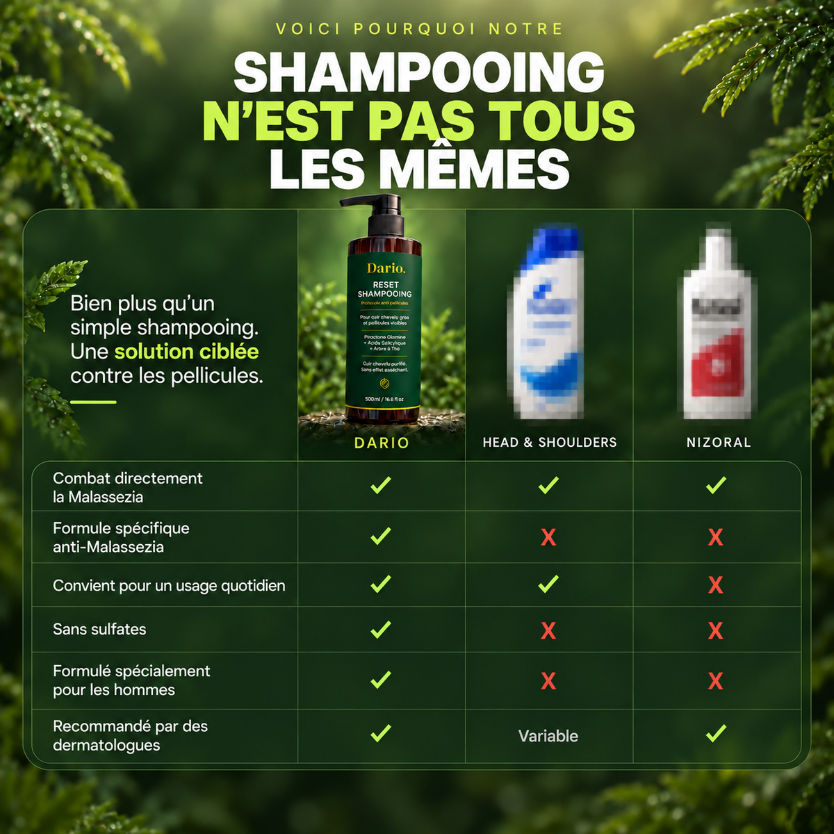 FR